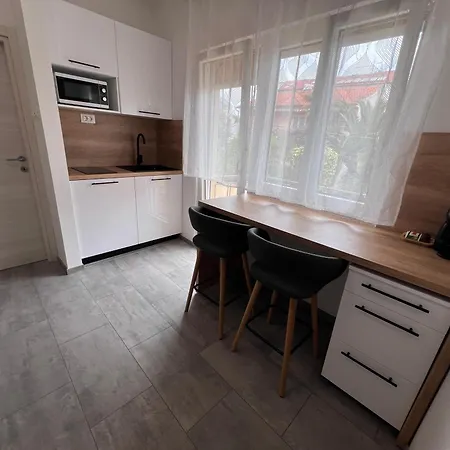 Iskra Πανσιόν Ρόβινι